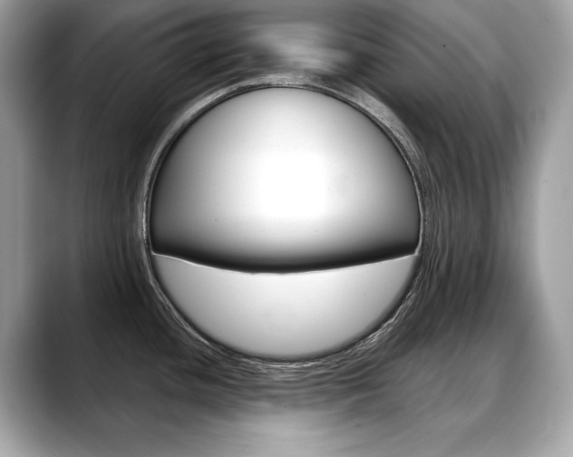 X0000088691436200705310950