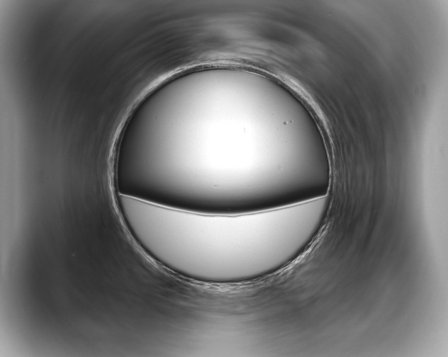 X0000088691437200705310950