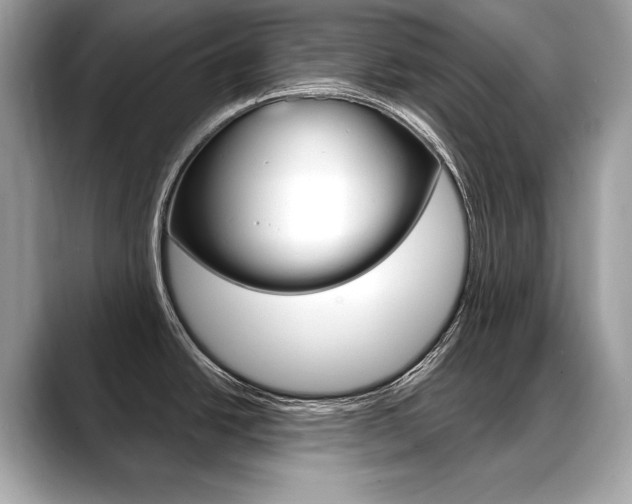 X0000088691438200705310950