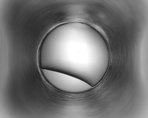 X0000088691439200705310950