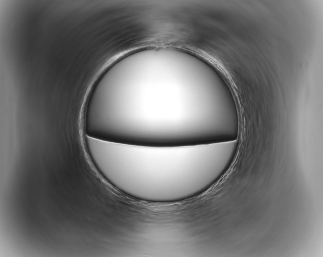X0000088691440200705310950