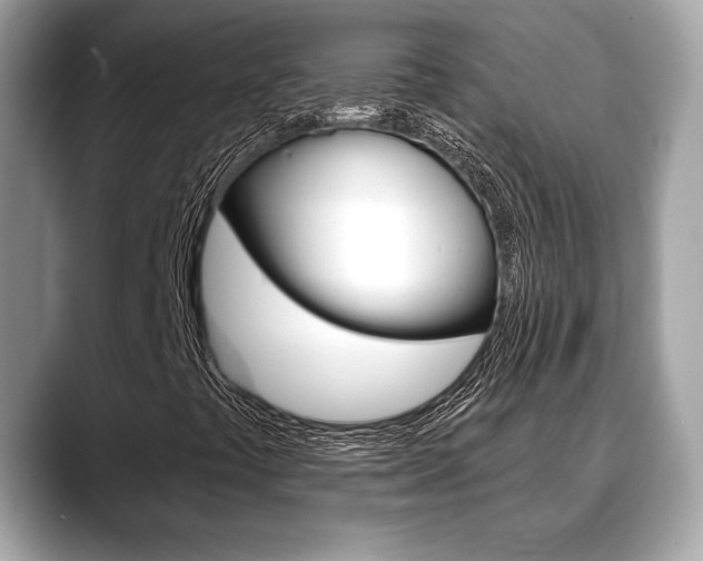 X0000088691441200705310949