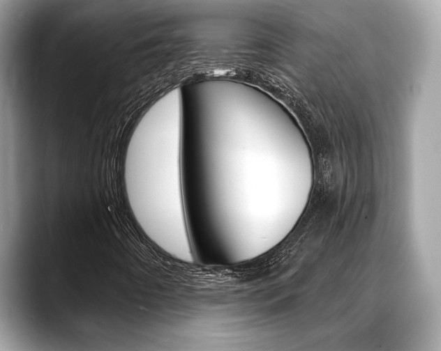 X0000088691442200705310949