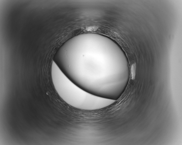 X0000088691443200705310949