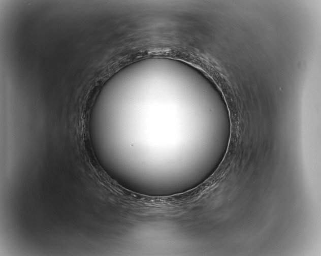 X0000088691445200705310949