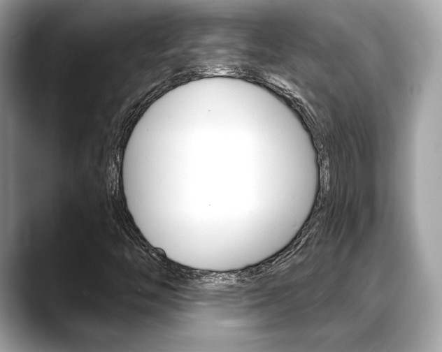X0000088691446200705310949