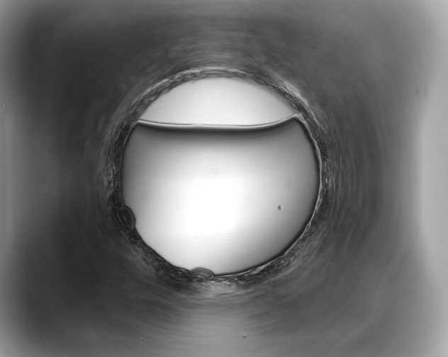 X0000088691448200705310949