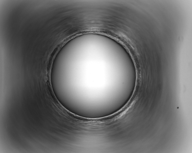 X0000088691449200705310949