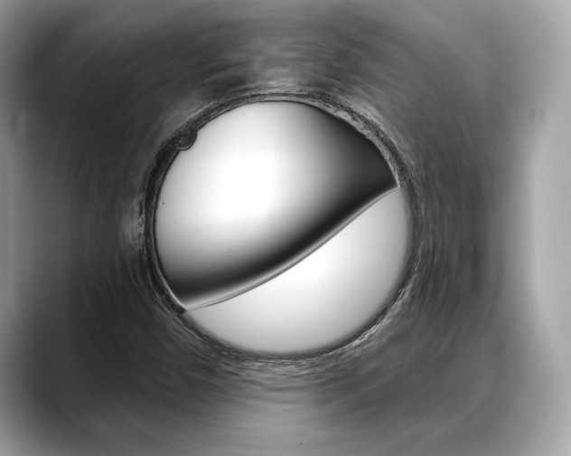 X0000088691450200705310949