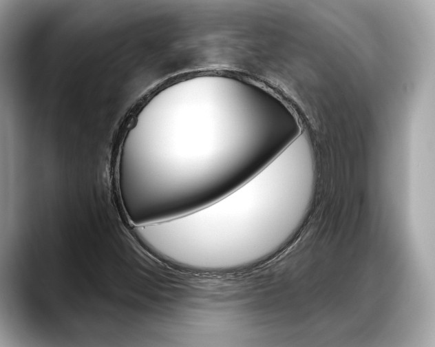 X0000088691452200705310949