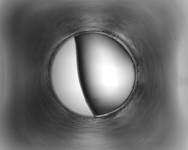 X0000088691453200705310949