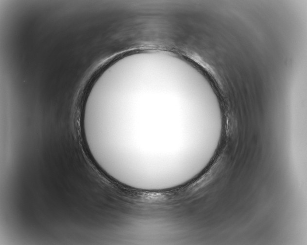X0000088691454200705310949