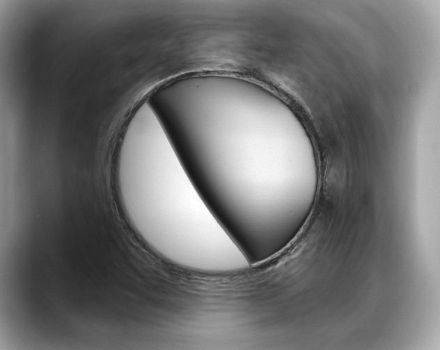 X0000088691455200705310949