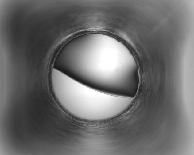 X0000088691456200705310949