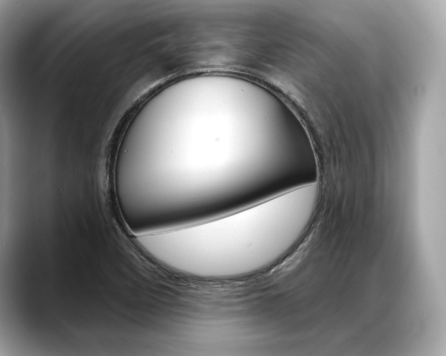 X0000088691458200705310949