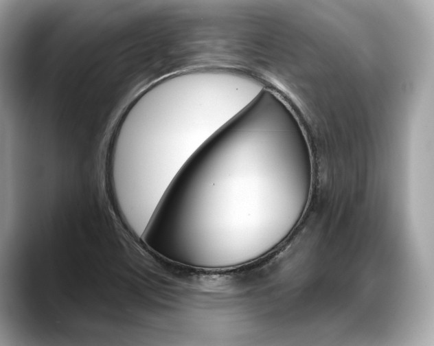 X0000088691459200705310949