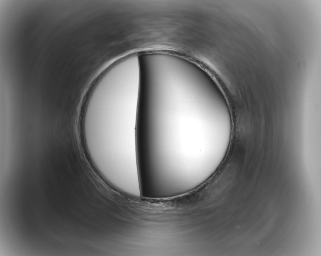 X0000088691460200705310949