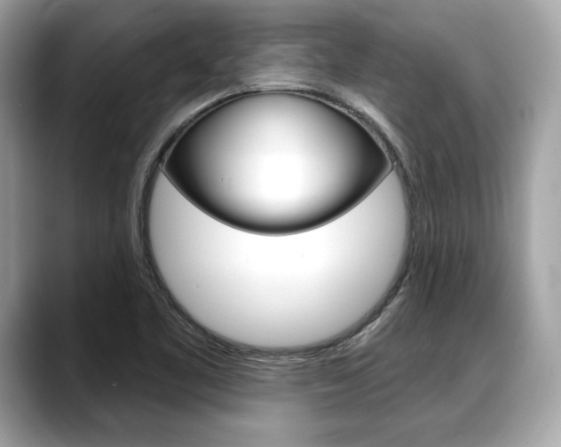 X0000088691461200705310949
