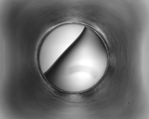 X0000088691464200705310949