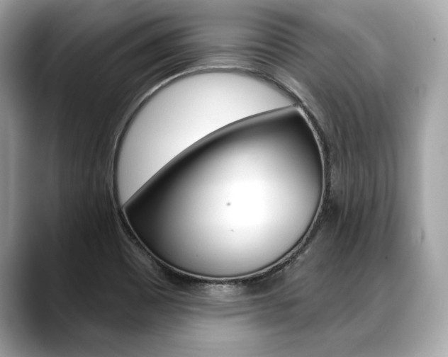 X0000088691465200705310949