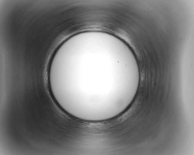 X0000088691466200705310949
