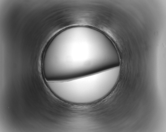 X0000088691468200705310949