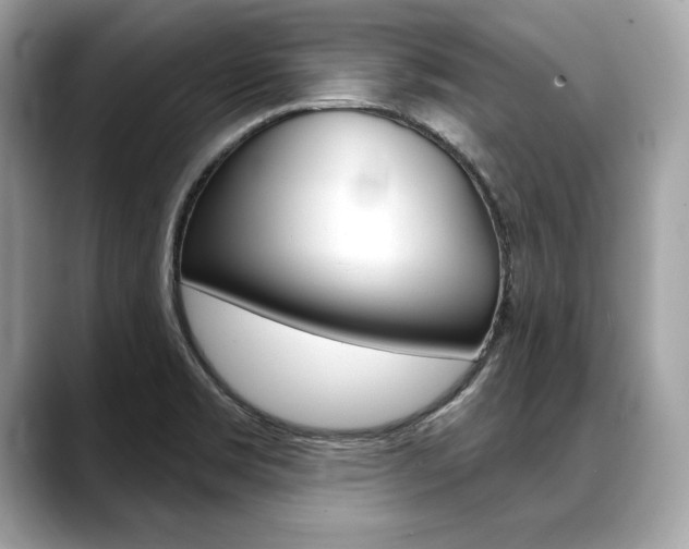 X0000088691469200705310949
