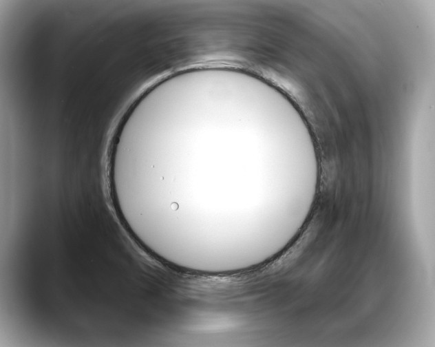 X0000088691470200705310949