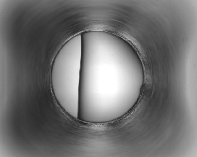 X0000088691473200705310949