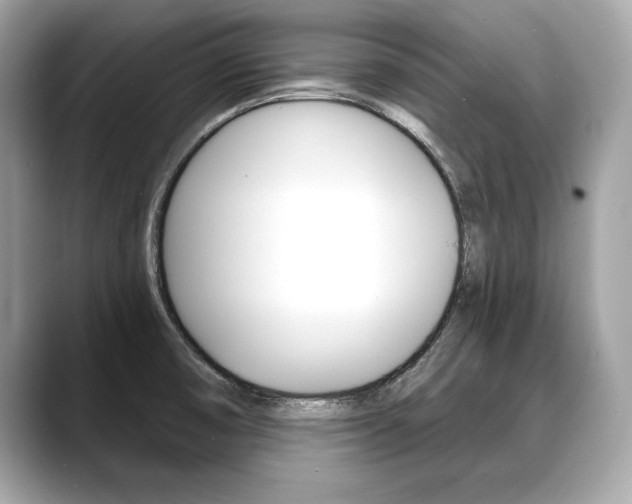 X0000088691474200705310949