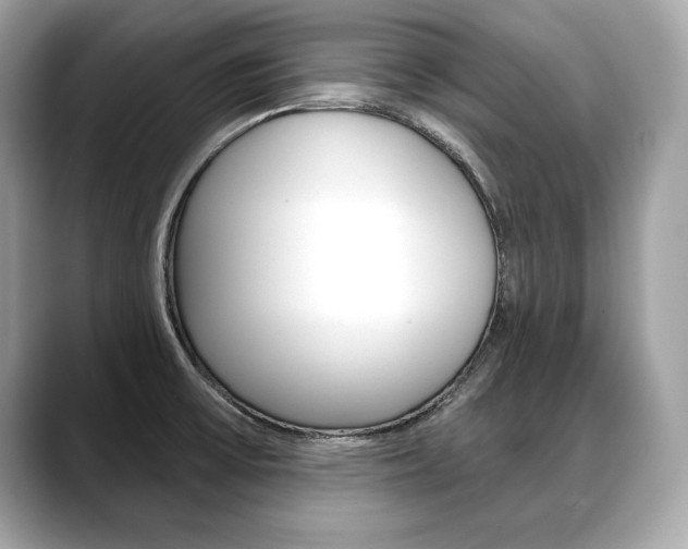X0000088691475200705310949