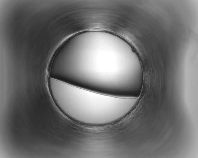 X0000088691476200705310949