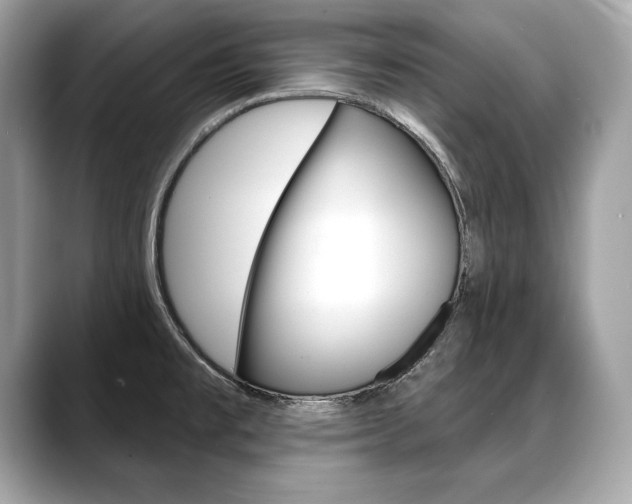 X0000088691477200705310949