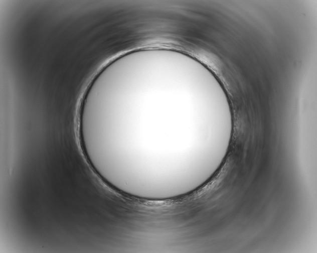 X0000088691478200705310949
