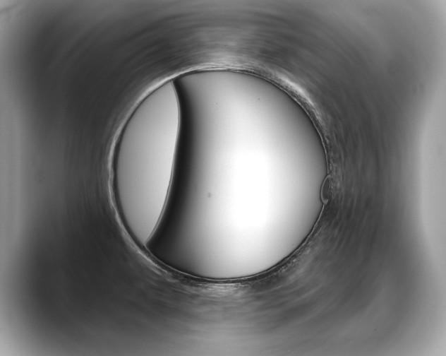 X0000088691479200705310949