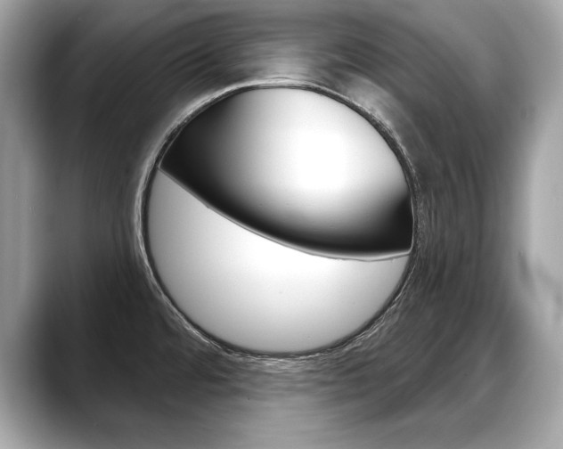 X0000088691480200705310949