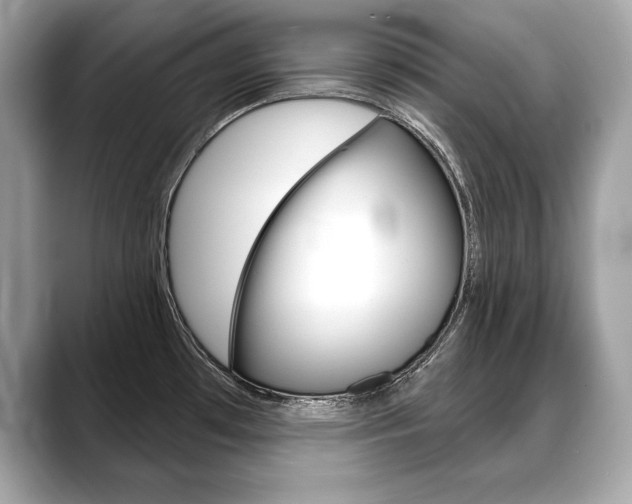 X0000088691481200705310949