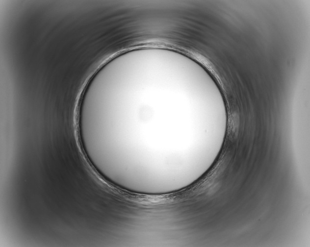 X0000088691482200705310949