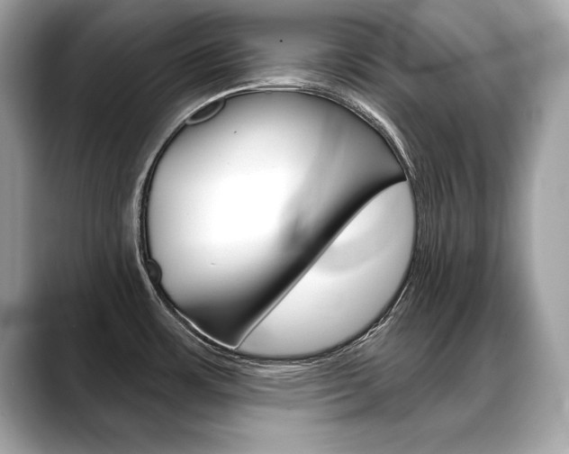 X0000088691483200705310949