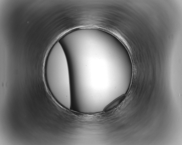 X0000088691485200705310949