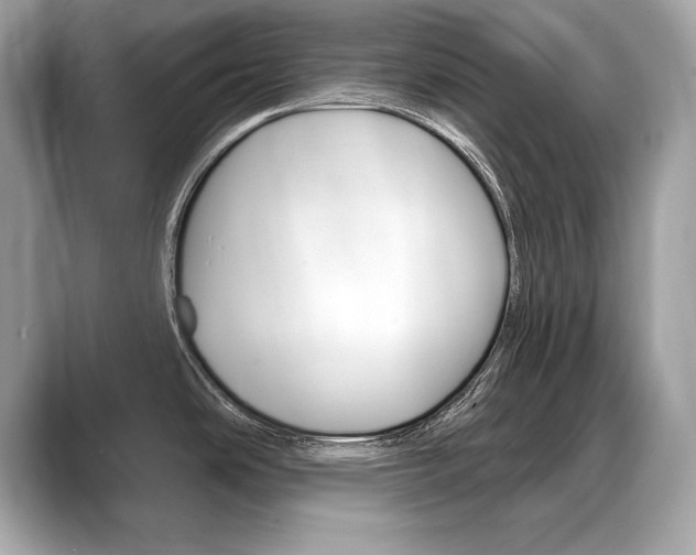 X0000088691486200705310949