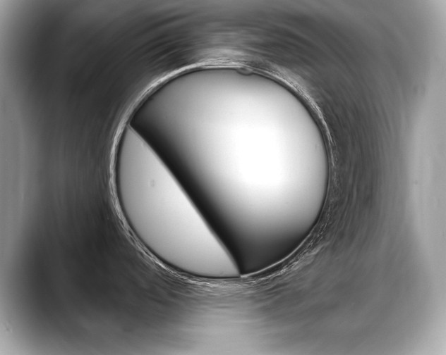 X0000088691488200705310949