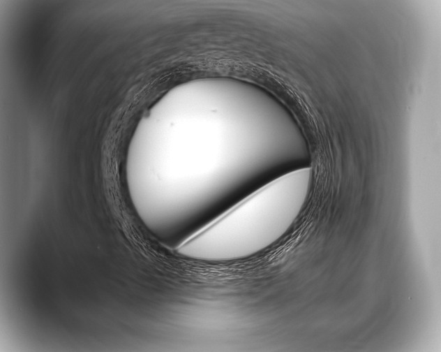 X0000088691489200705310948