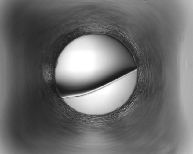 X0000088691490200705310948