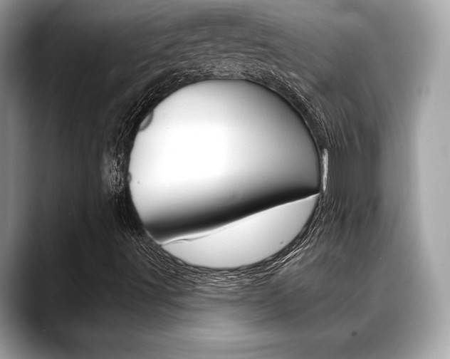 X0000088691491200705310948