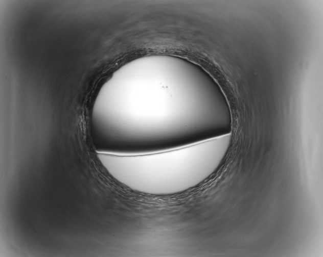 X0000088691493200705310948