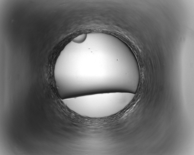 X0000088691494200705310948