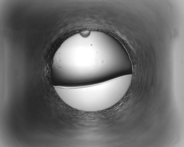 X0000088691495200705310948