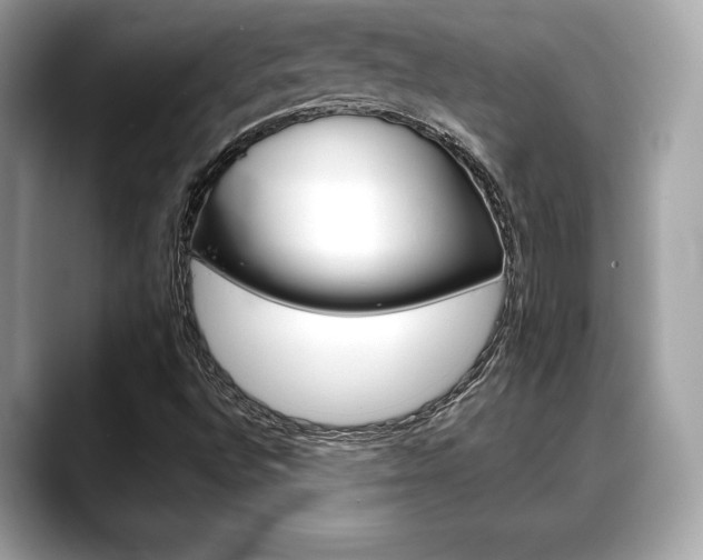 X0000088691496200705310948
