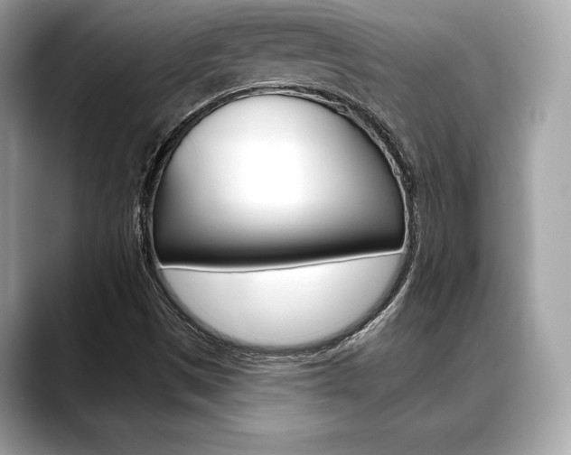 X0000088691497200705310948